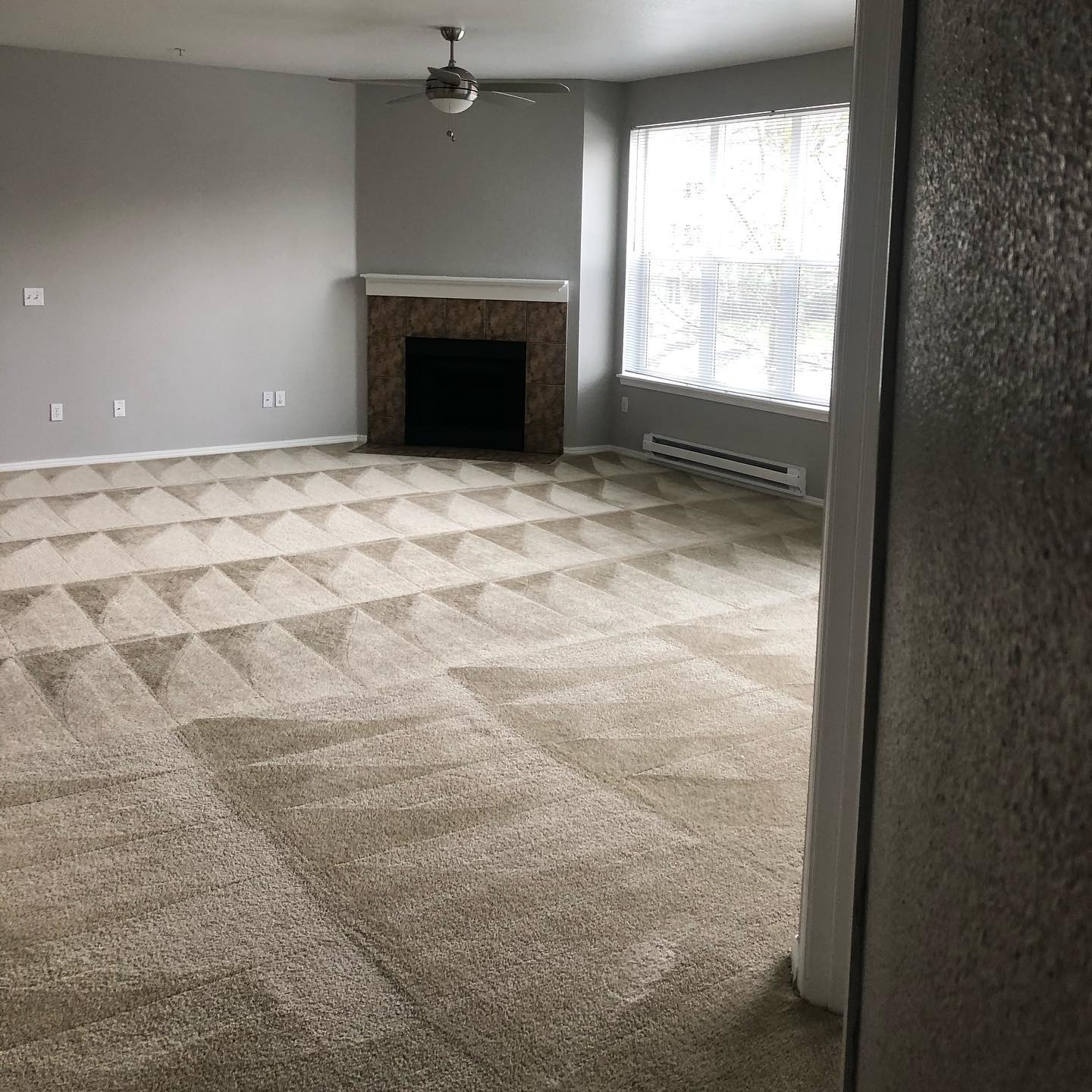 Living room with fireplace and freshly extracted diamond-pattern carpet