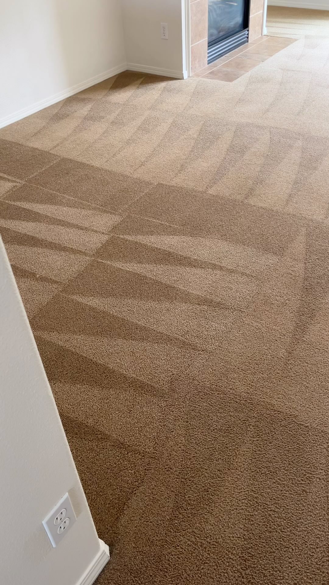 Freshly cleaned residential carpet showing diagonal extraction pattern